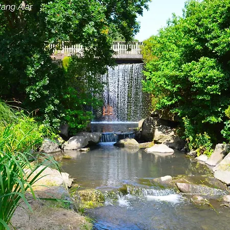 Ty Podic Brest